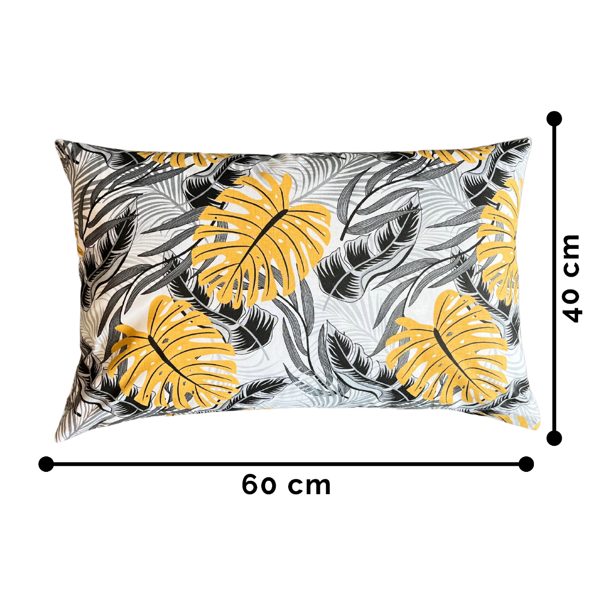 d576aba3781a97931d2ae339aa6f15fb