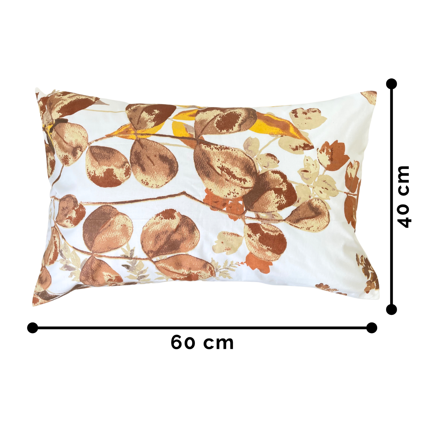 47c93b34253b7a58661ace2ee3d2c987